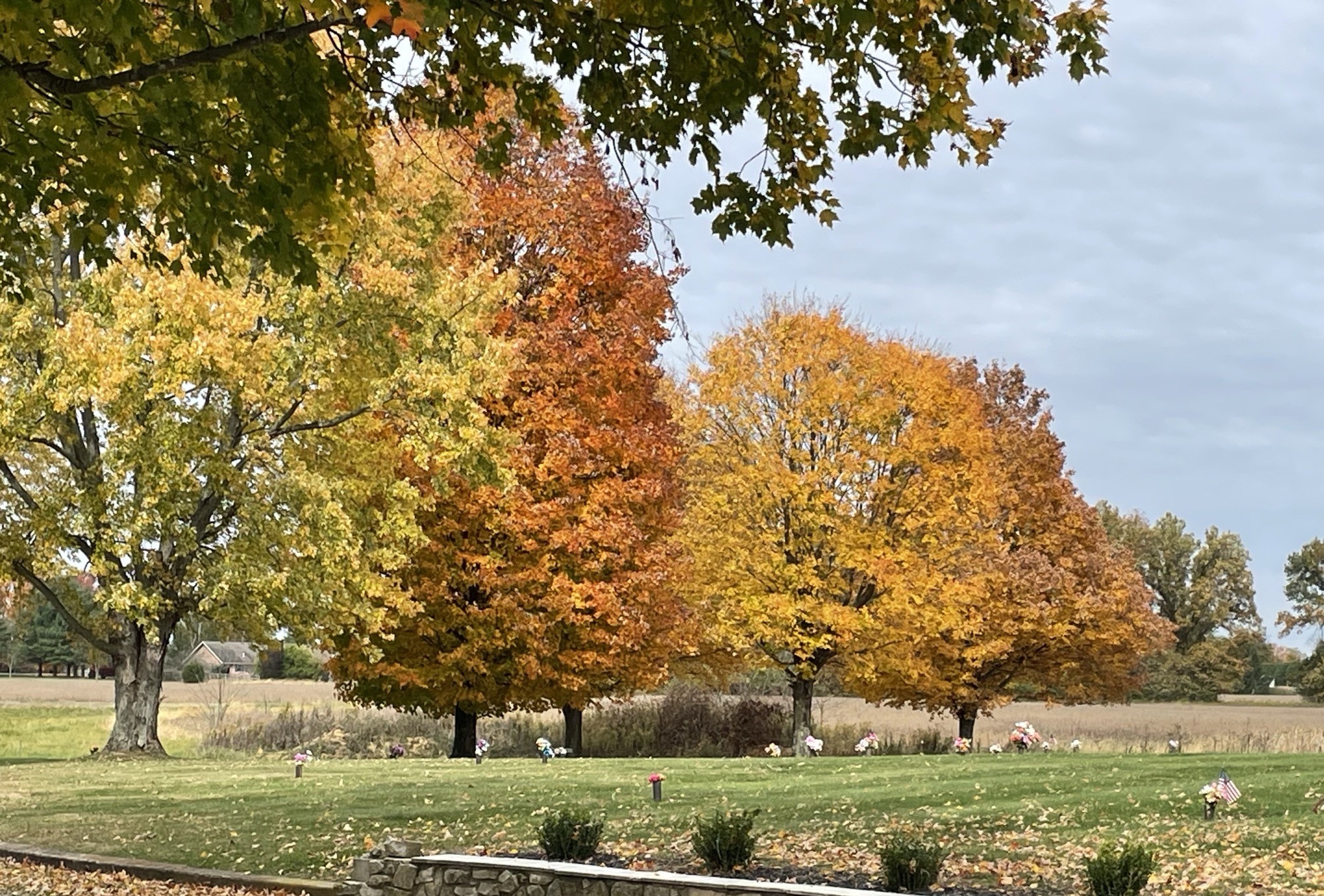 Clinton County Memory Gardens